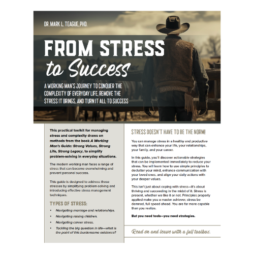 From Stress to Success Guide